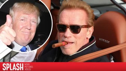 Arnold Schwarzenegger ne va pas voter pour Donald Trump