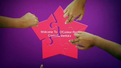 O'Connor Pest exterminator in Ventura, CA