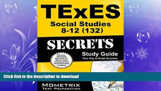 READ BOOK  TExES Social Studies 8-12 (132) Secrets Study Guide: TExES Test Review for the Texas