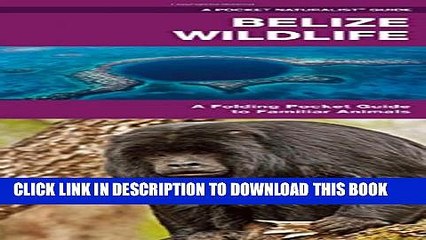 New Book Belize Wildlife: An Introduction to Familiar Species (Pocket Naturalist Guide Series)