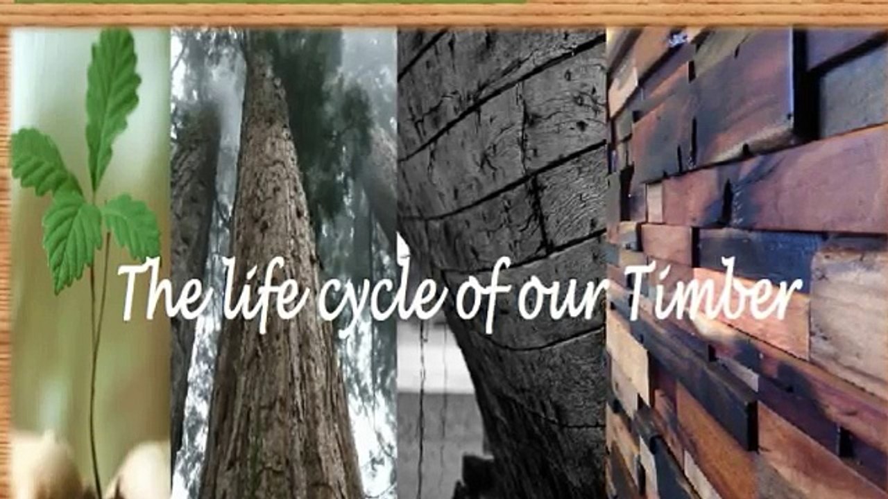 Reclaimed Timber Wall Tiles