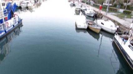 Kurbağalıdere temizlendi balıklar yüzüyor