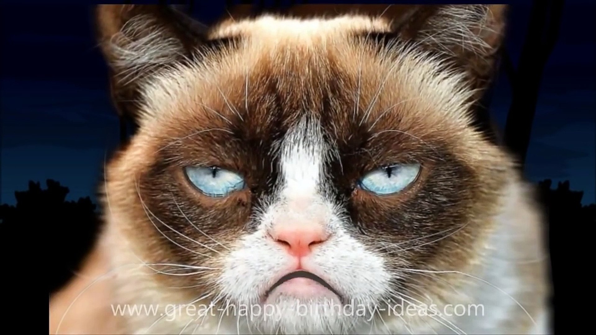Grumpy Cat Happy Birthday Song | funny happy birthday song#, image size:1920x1080