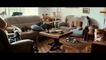 Cat Home Alone Funny Japanese Commercial YKK AP CM コマーシャル