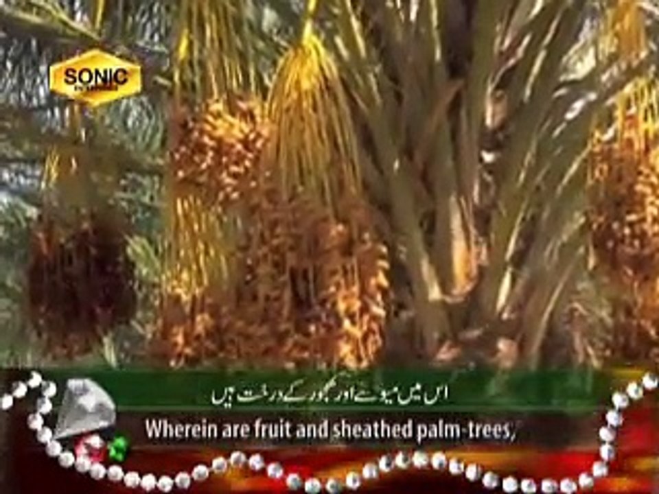 surah-rehman-tilawat-quran-beautiful-recitation-with-urdu-translation-surah-rehmanmulk-qtv-majeed