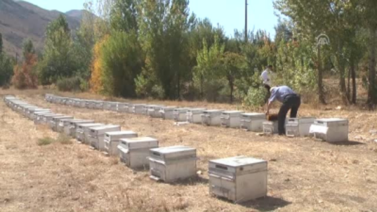 Bal Üreticileri İstediği Verimi Alamadı
