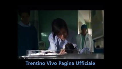Trentino Vivo --La Voglia Di Vivere--