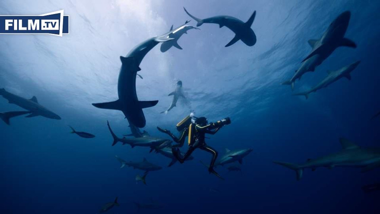 JACQUES - ENTDECKER DER OZEANE Trailer German Deutsch (2016) HD