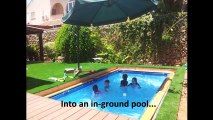 Il veut absolument une piscine mais sa femme une nouvelle pelouse, puis ce qu'il réalise est ingénieux!