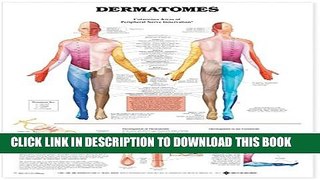 [PDF] Dermatomes Anatomical Chart Full Online