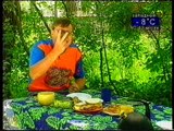 (staroetv.su)Заставка канала (СТС-Сигма, 2005) пингвины