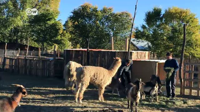 Kriegsveteranen für Frieden | DW Nachrichten