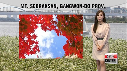 Cool crisp autumn weather