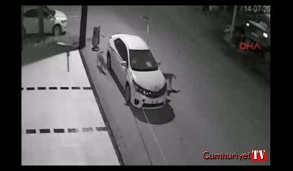 Sokak köpekleri otomobili parçaladı