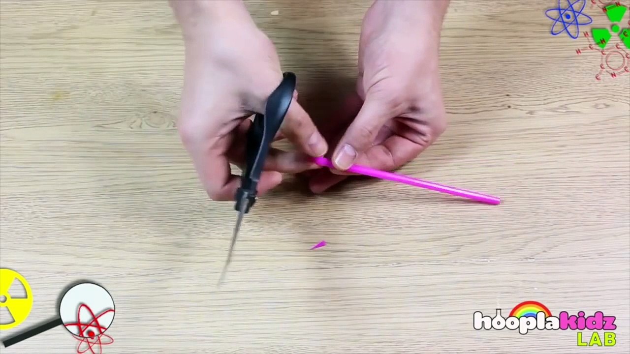 Science Projects for Elementary School - Funny Guider - Relax time