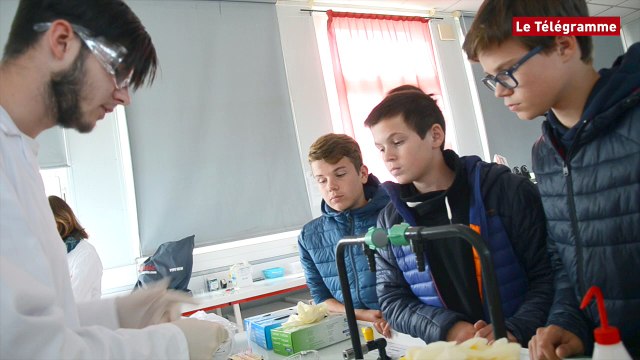 Quimper. Atelier animé par des lycéens à la Fête de la science