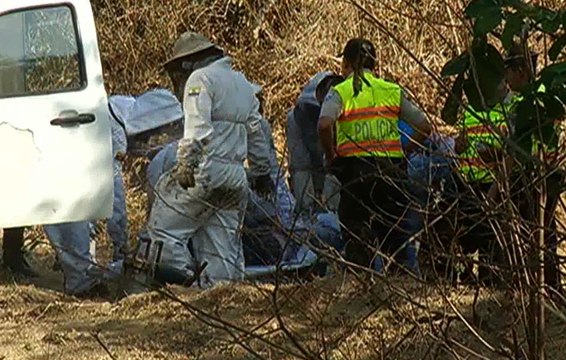 Varias personas fueron atacadas por abejas en un sector rural de Guayaquil
