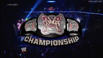 AJ Lee vs Cameron - WWE Divas Chamiponship - Elimination Chamber 2014