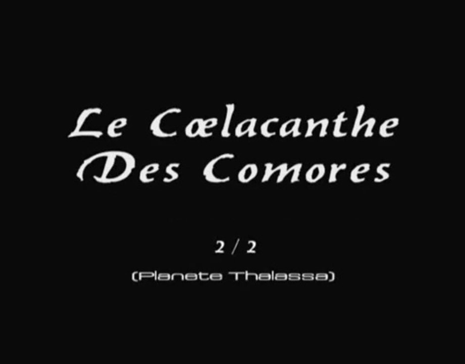Le Coelacanthe Des Comores (2/2)