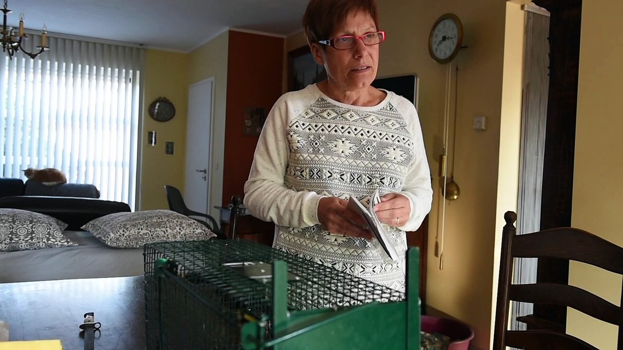 Elle attrape les chats pour les faire stériliser