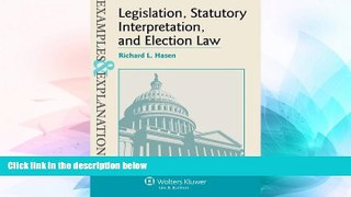 Must Have  Examples   Explanations Legislation, Statutory Interpretation and Election Law  Premium