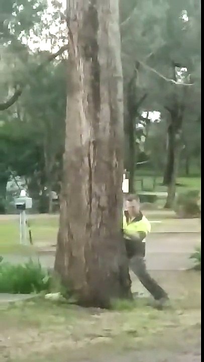 Un propriétaire de camping coupe un arbre pour protéger un mobile home qui finira sa course SUR le mobile home !