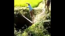 Indian Funny Videos Compilation 2016 || Indian Whatsapp videos December 2016