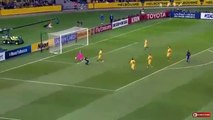 Haraguchi Goal - Australia vs Japan 0-1 (World Cup) 原口のゴール - 日本0-1対オーストラリア