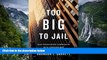 Deals in Books  Too Big to Jail: How Prosecutors Compromise with Corporations  READ PDF Online