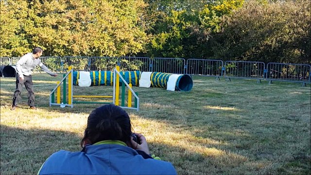 Concours agility - Auchy les Mines