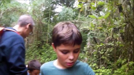 Riera Vallvidrera, Collserola