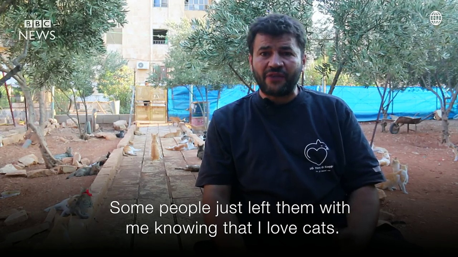 The cat man of Aleppo - BBC News