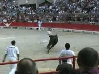 Courses camarguaises