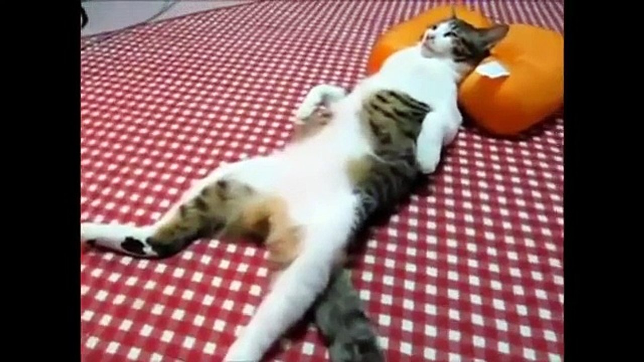 cute
