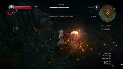 The Witcher 3: Wild Hunt