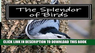[PDF] The Splendor of Birds: A Picture Book for Seniors, Adults with Alzheimer s and Others Full