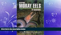 Popular Book Keeping Moray Eels in Aquariums