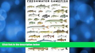 For you Freshwater Gamefish of North America Poster