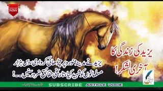 Yazeed ki zindgi ka aakhri lashkar | یزید کی زندگی کا آخری لشکر ,تاریخی حقائق ضرور سنیں