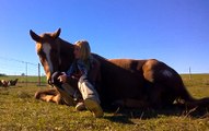 [horsegirlship 7] Carina & Lavinia - Lie down 2015