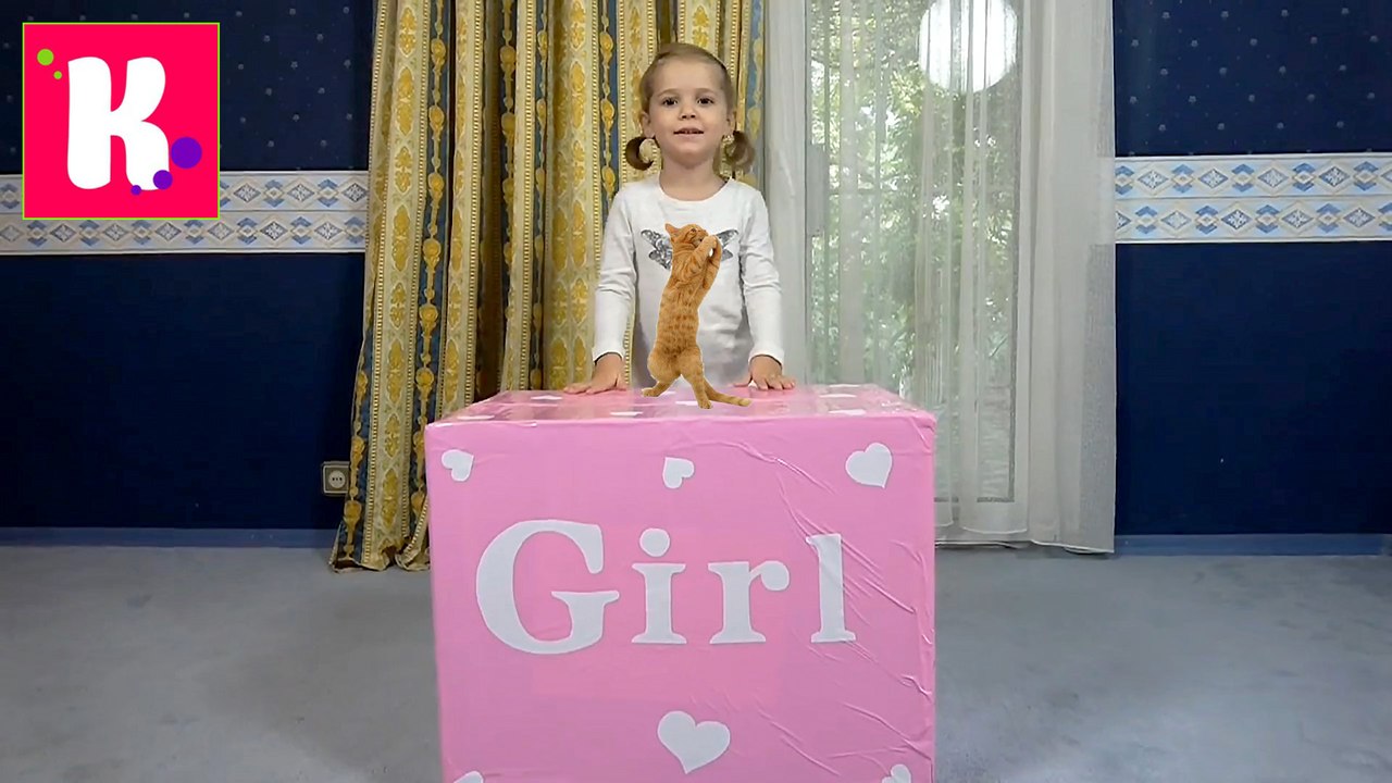 Катя и кошечка Мурка открывают большой сюрприз в коробке для девочек Кролик и граммофон для кошек смотрите новое видео
