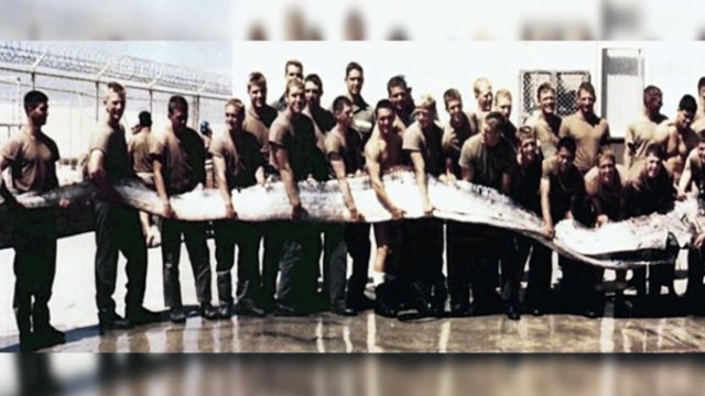 5 Mysterious Deep Sea Creatures Caught On Tape