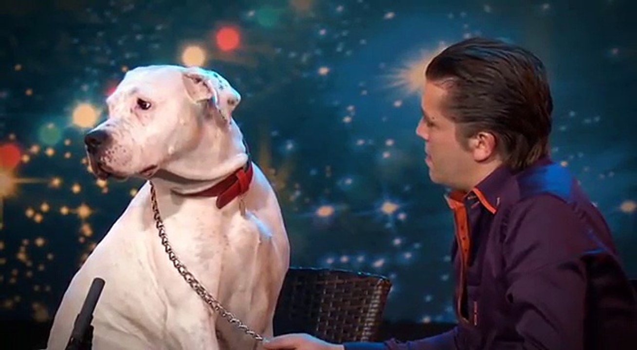 Cagnolone Intona una Canzone di Whitney Houston..SPETTACOLO!