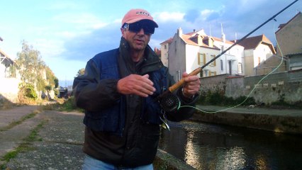 pêche des ablettes dan le sichon a vichy 2 eme catégorie