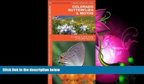 Popular Book Colorado Butterflies   Moths: A Folding Pocket Guide to Familiar Species (Pocket
