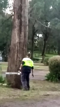 Cet arbre à l'air dangereux je ferai mieux de le couper... FAIL bien douloureux pour la maison