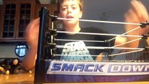 WWE action figure break away ring