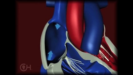 This Breakthrough Will Transform Education Forever 🚀