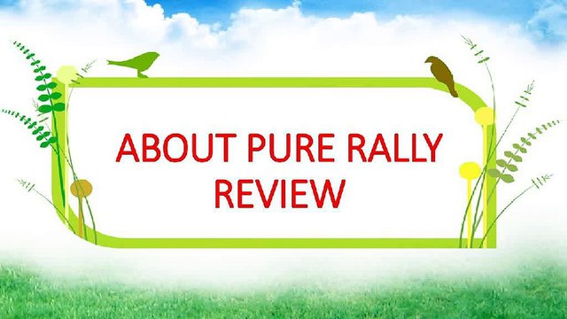 Pure Rally Review, Pure Rally Trading Standards, Pure Rally 2015