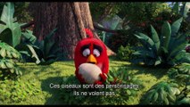 ANGRY BIRDS LE FILM ! - BONUS : LES OISEAUX !